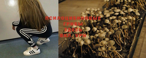 круглые Алексин