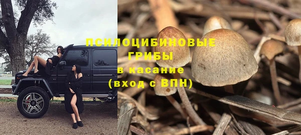 прущие крисы Алексеевка