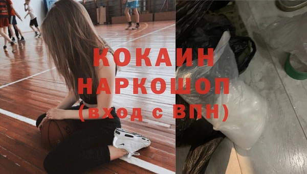 СК Вуктыл