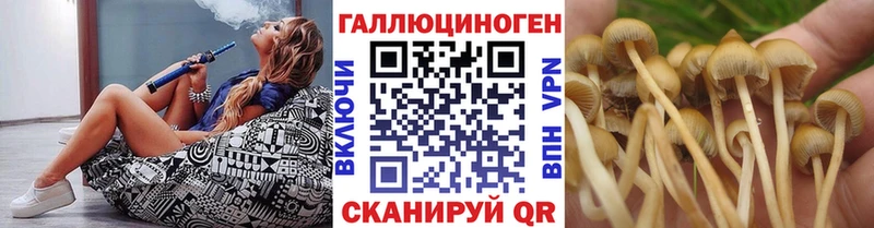 Галлюциногенные грибы ЛСД  Кореновск 