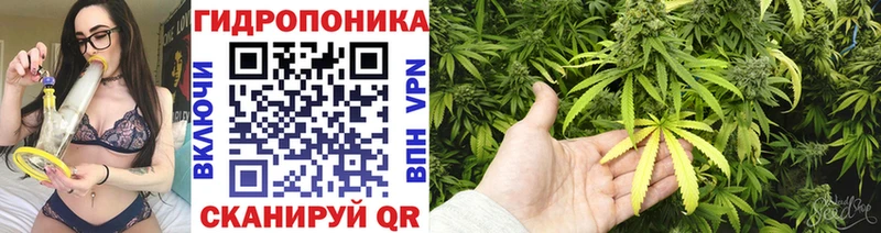 Шишки марихуана семена Кореновск